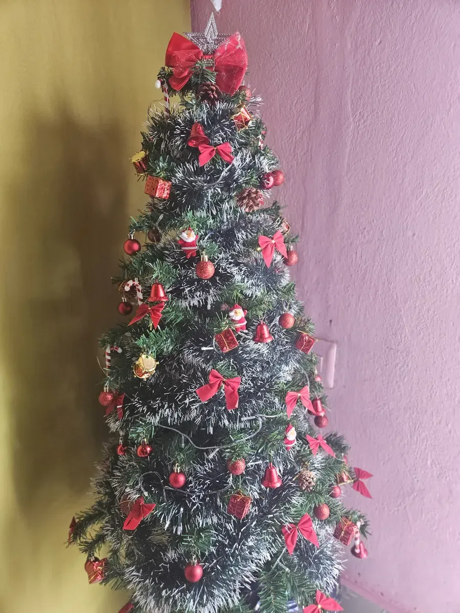 Foto enviada por Fernanda Alves